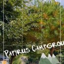 파피루스 캠핑장 이미지