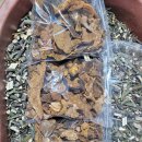 황철갓(건재/미니갓.큰갓) 뽕상황 판매합니다! (저렴하게 판매합니다) 이미지