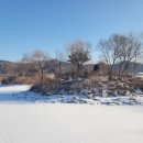 한반도섬 이미지