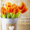 고맙습니다.감사합니다.