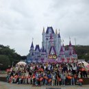 용인대국가대표사랑태권도 | 세종시 대평동태권도 용인대 국가대표 해들 태권도 외부캠프 활동