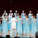 강서구민회관 앞 이미지