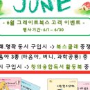 송이전집 이미지