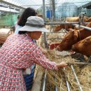 삼덕농장 이미지