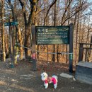 코오롱애견 이미지