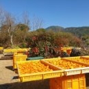 지리산해달원 이미지