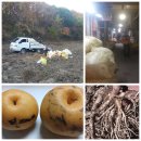 형성슈퍼 이미지