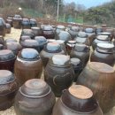 콩각시 농원 이미지