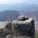 용바위농장 이미지