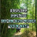 태안 안면도 ATV 무지개 레포츠 E코스 체험 후기
