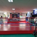 중독된복싱체육관 이미지