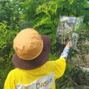 슈필어린이집 이미지