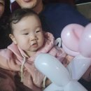 돌아기랑 제주 보름살이 ep13-1. 제주아트서커스/더랑랑마켓/모들한상/카페봄봄