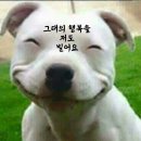 행복한아침 이미지