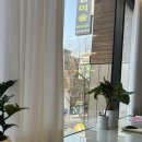 청담동 미용실 비오른헤어 청담점 동화 원장님 볼륨매직 후기 강남미용실