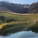 음성 힐데스하임CC 이미지