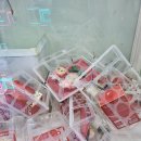 뽑앗쿠마 이미지