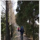 삼성산경로당 | [20110424]관악산 봄나들이 - &#39;관악산 둘레길 3ㆍ2ㆍ1구간 이어걷기&#39; - 2부