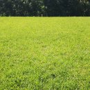 🚚창세기 이야기🟢흰쌀밥에 소고기국 먹어보는 것이 꿈 이미지