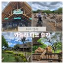 마치교 끝 | 모리셔스 여행 필수코스, 카젤라 파크 방문후기 (예약방법, 투어예약)