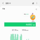 국토대장정 28일차, 밀양에서 부산(낙동강 자전거길/ 양산 황산공원/ 화명 브리즈 호텔)