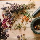 든든 한의원 이미지