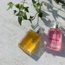 시흥은행초등학교 | 기업 출강·공공기관 교육을 위한 조직문화 회복 프로그램, 직무 스트레스 관리 웰니스 워크숍