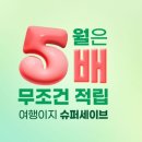 세이브투어 이미지