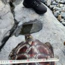 푸른바다 이미지