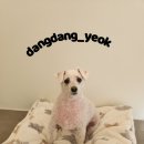 보리미용실 이미지