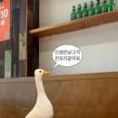 루시공인중개사사무소 이미지