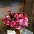 플로리스트 이미지