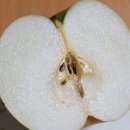 화산농업협동조합 이미지