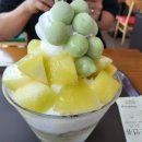 설빙죽도점