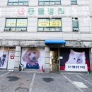 굿파파24시 반려동물 건강검진센터 이미지
