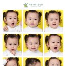 레몬사진관