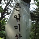 오탄교