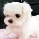 삼덕경로당 이미지