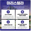 인천가톨릭학원마리스텔라 이미지