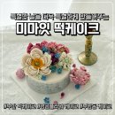 미米플림케이크 | [부산 떡케이크] 특별한날을 더 특별하게, 앙금플라워 떡케이크 미마잇 떡케이크 솔직 후기