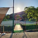 카페그랜드파파 이미지