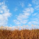 와룡공인중개사사무소 이미지