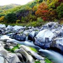 방호정민박 이미지