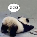 히타스라 이미지