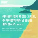 ⛪️ 성 알폰소 마리아 데 리구오리 주교 학자 기념일 이미지