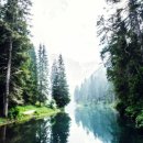 영통에이스치과의원 이미지