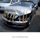 사람들과 자동차 Daum카페