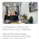봄바람사진관