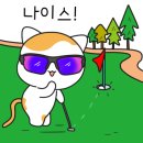 에이치디케이 이미지