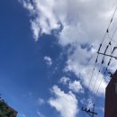 순이네야식 이미지